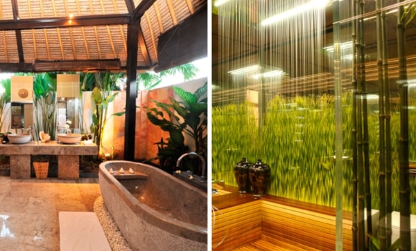Plantas y madera en baños
