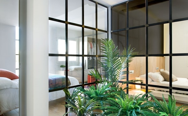 Plantas de interior en áreas comunes de la casa