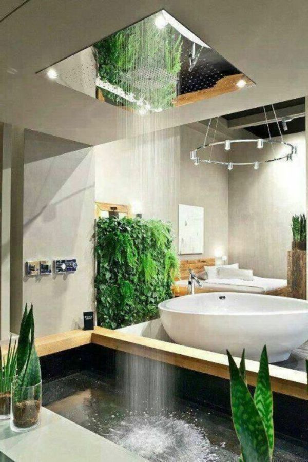 Plantas en el cuarto de baño
