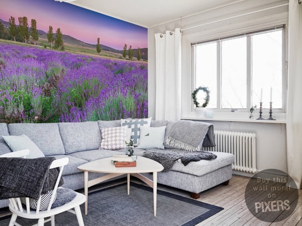 Campo de lavanda en fotomural