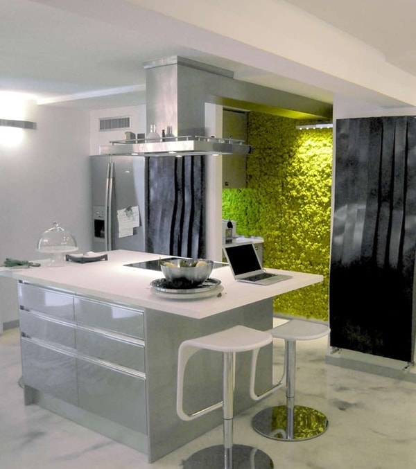 Cocina moderna con jardín vertical