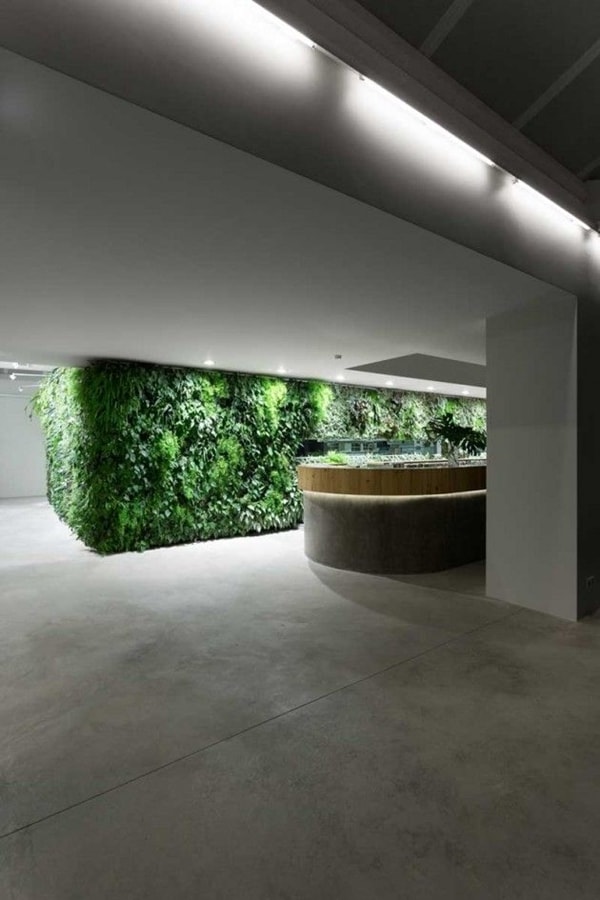 Jardín vertical en la cocina