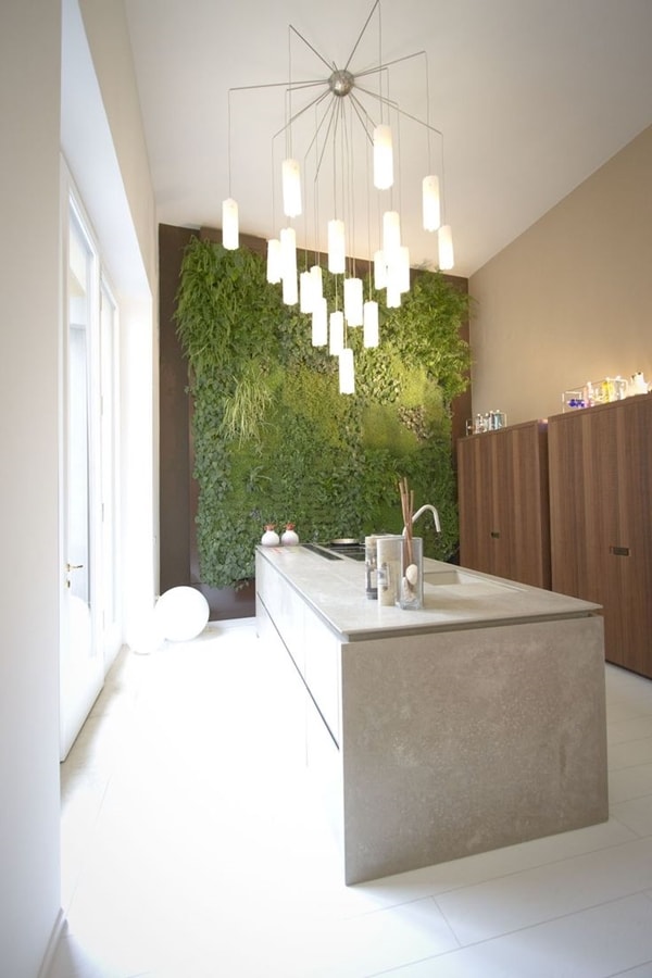 Jardín vertical en la cocina