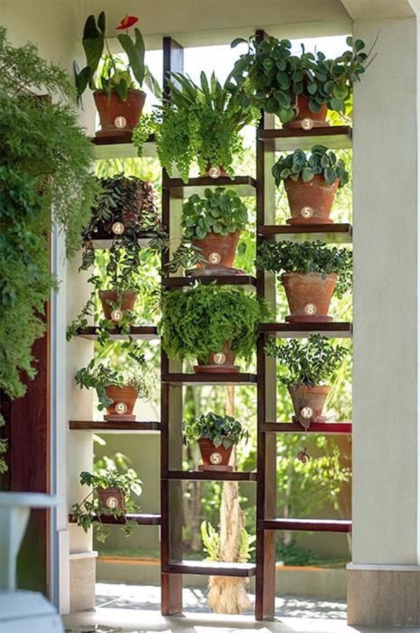 Jardín vertical en estantería de madera