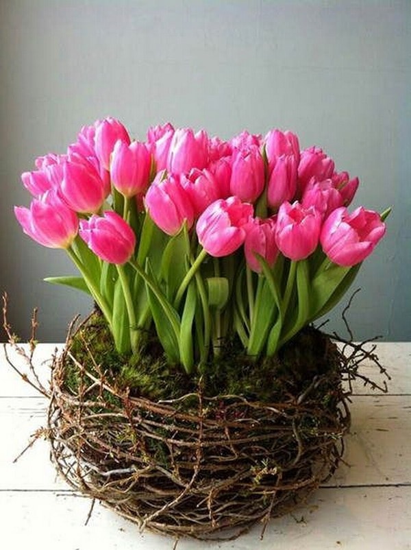 Tulipanes en un nido, como arreglo floral