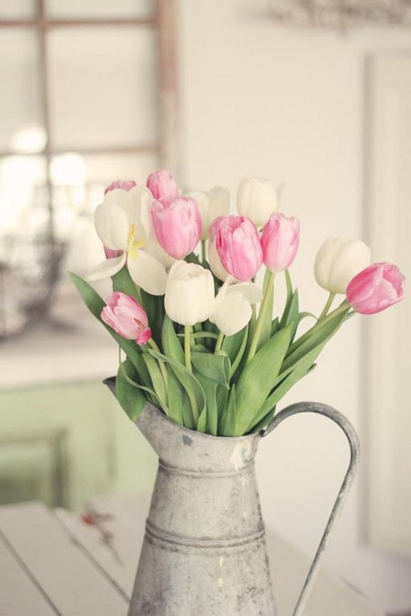 Arreglo con tulipanes dentro de una regadera