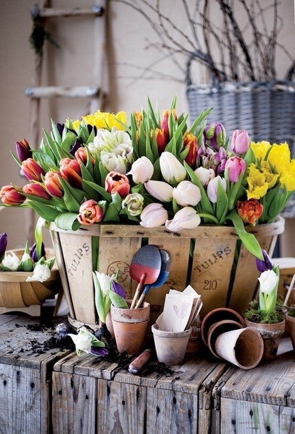 Tulipanes en cajas de madera