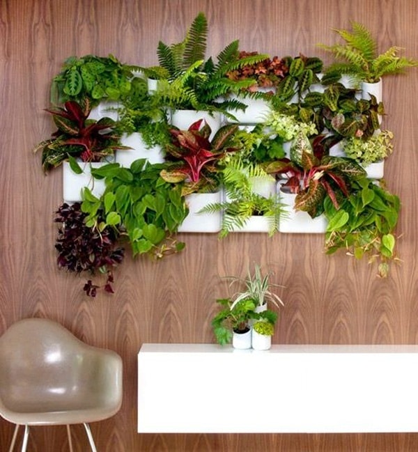 Jardín vertical en el interior del hogar