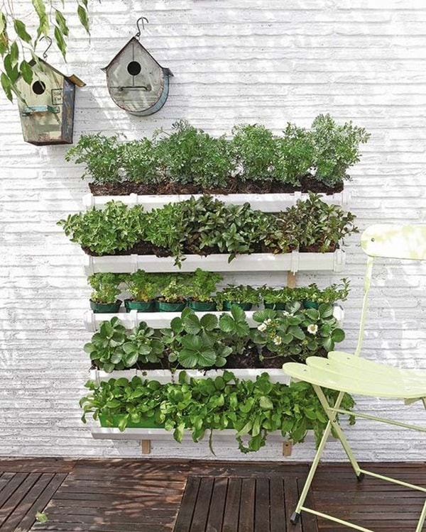 Jardín vertical