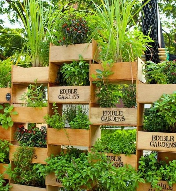 Jardín vertical con cajas de madera