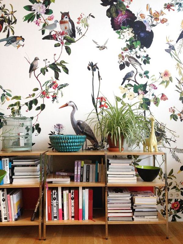 Aves y plantas tropicales