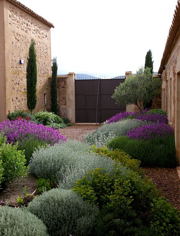 Claves de la xerojardinería