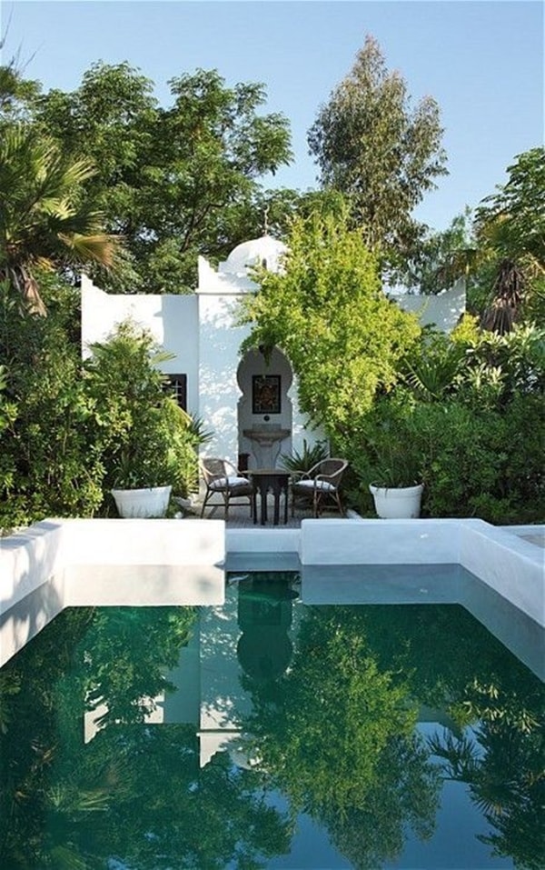 Plantas alrededor de la piscina