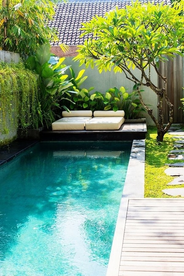Plantas junto a la piscina