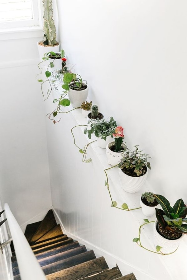 Endulzar Principiante Transistor Ideas originales para decorar interiores con plantas - Decoración de Interiores y Exteriores - EstiloyDeco Endulzar Principiante Transistor Ideas originales para decorar interiores con plantas - Decoración de Interiores y Exteriores - EstiloyDeco