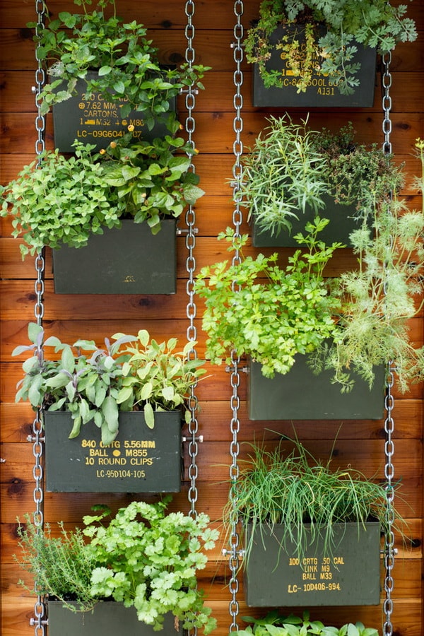 Jardín vertical en el balcón