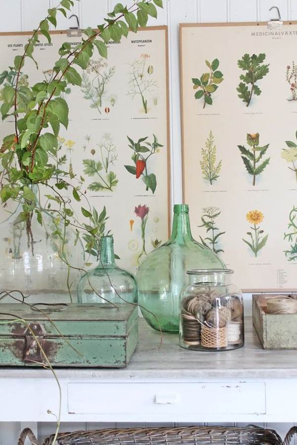 Láminas de plantas para decorar