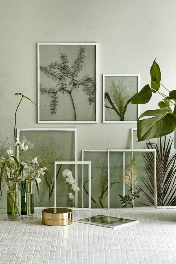 Plantas enmarcadas