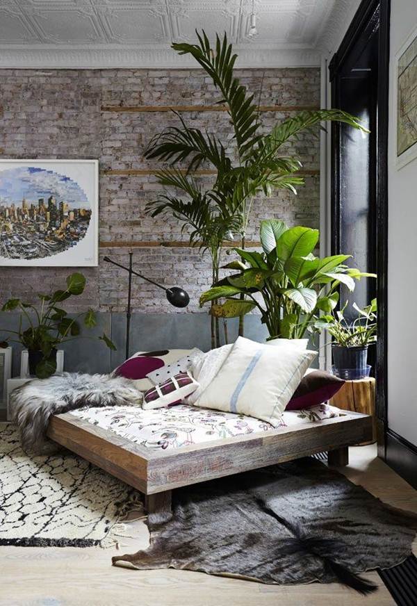 Decoración con plantas