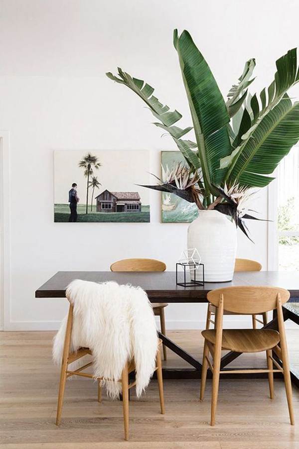 Planta de hojas grandes