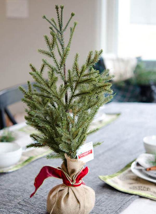 Centrno videño DIY