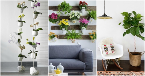 Ideas para decorar con plantas de interior