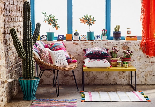 Cactus para decorar