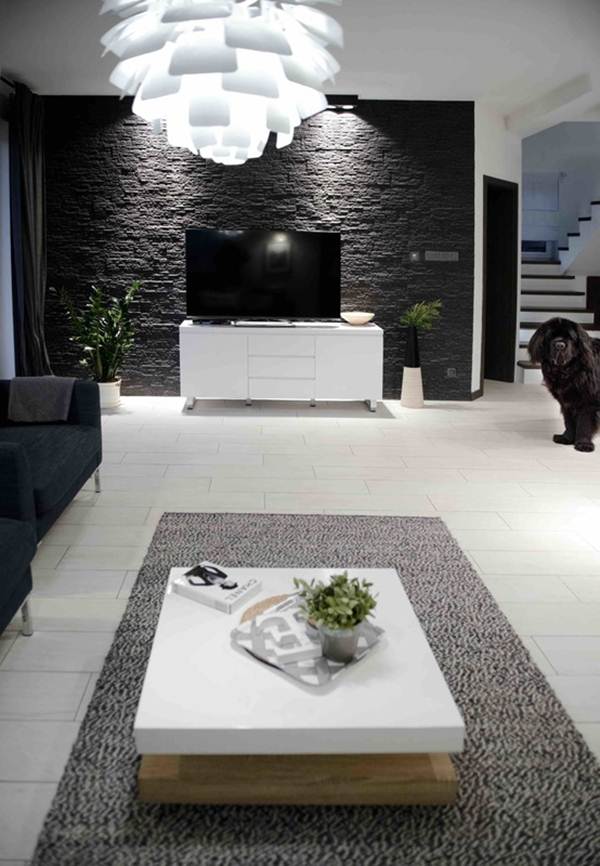 Pared negra en el salón