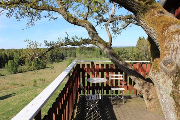 Casa en un árbol