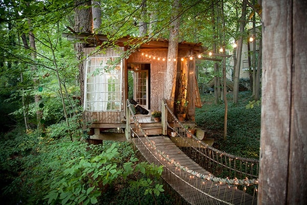 Casa en un árbol