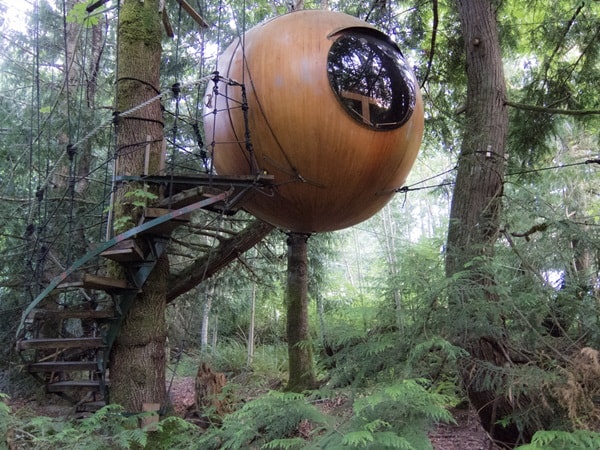 Casa del árbol en forma de esfera