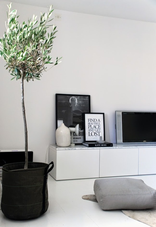 Planas para decorar salas con poco dinero