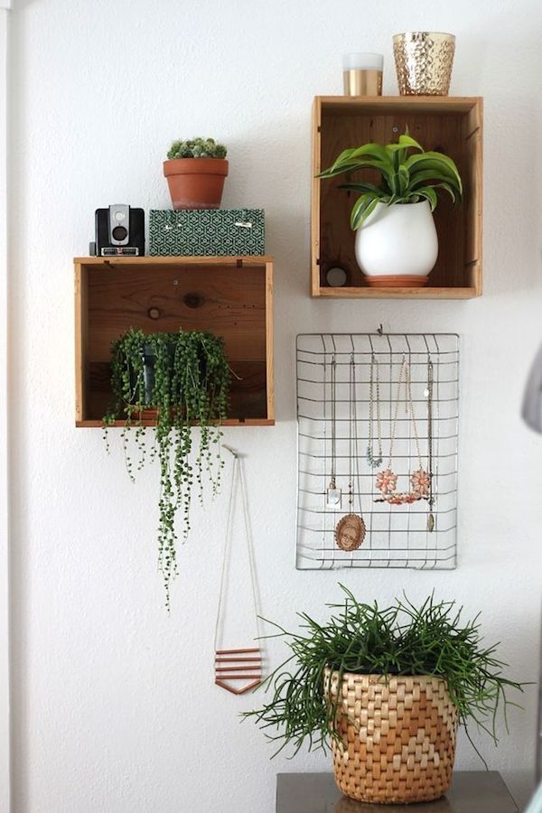 Plantas en interiores