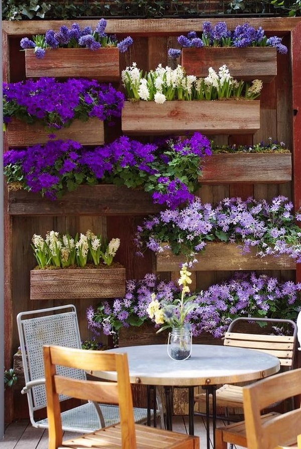 Plantas con flores en terrazas rústicas