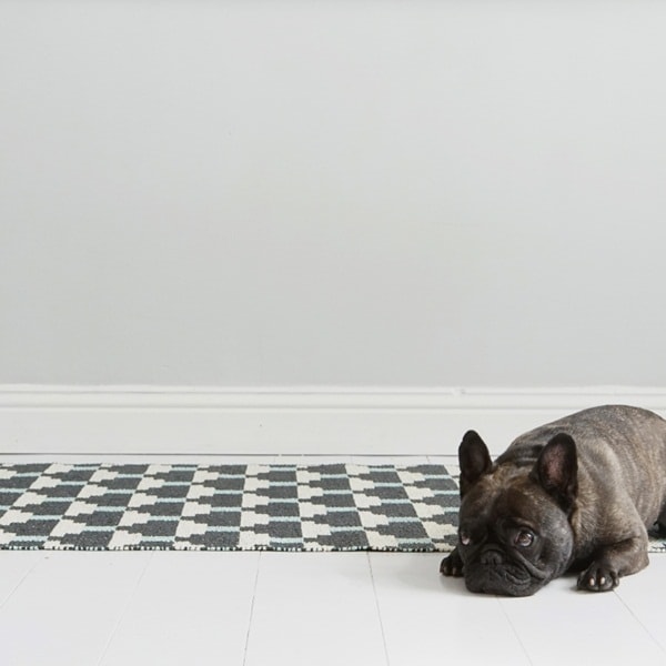 Alfombras de vinilo para casas con mascotas