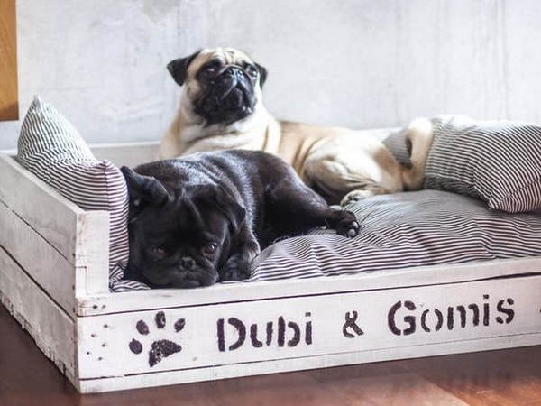 Camas para mascotas con cajas recicladas