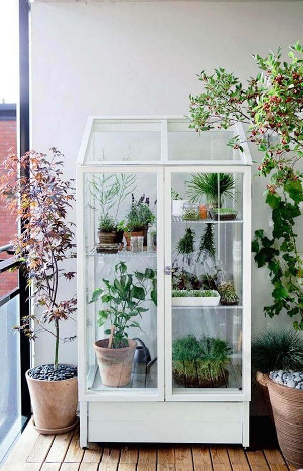 Cultivar plantas en balcones
