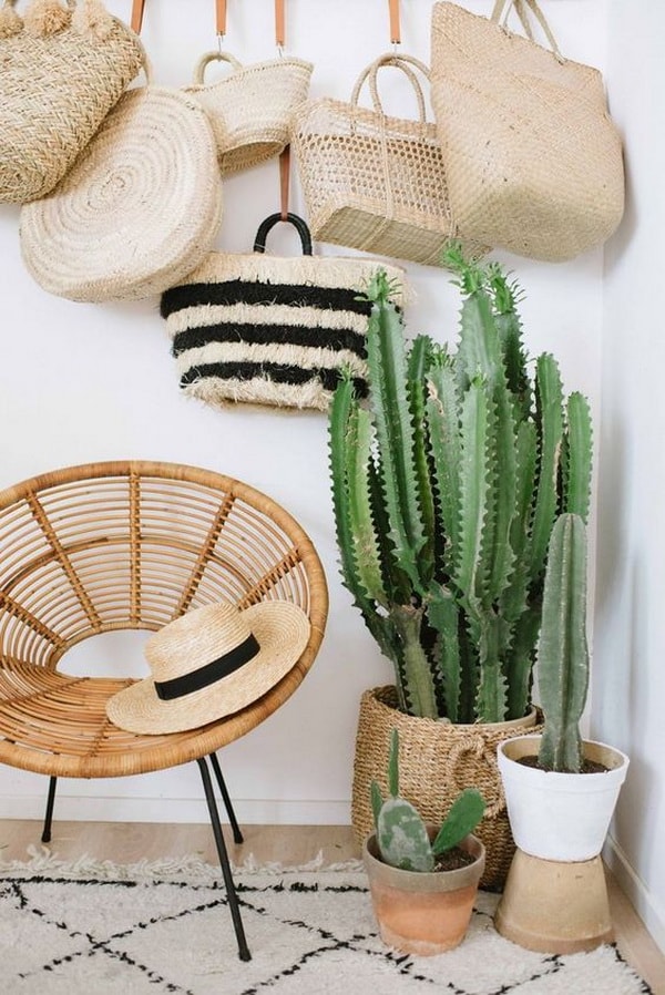 Cactus para decorar interiores