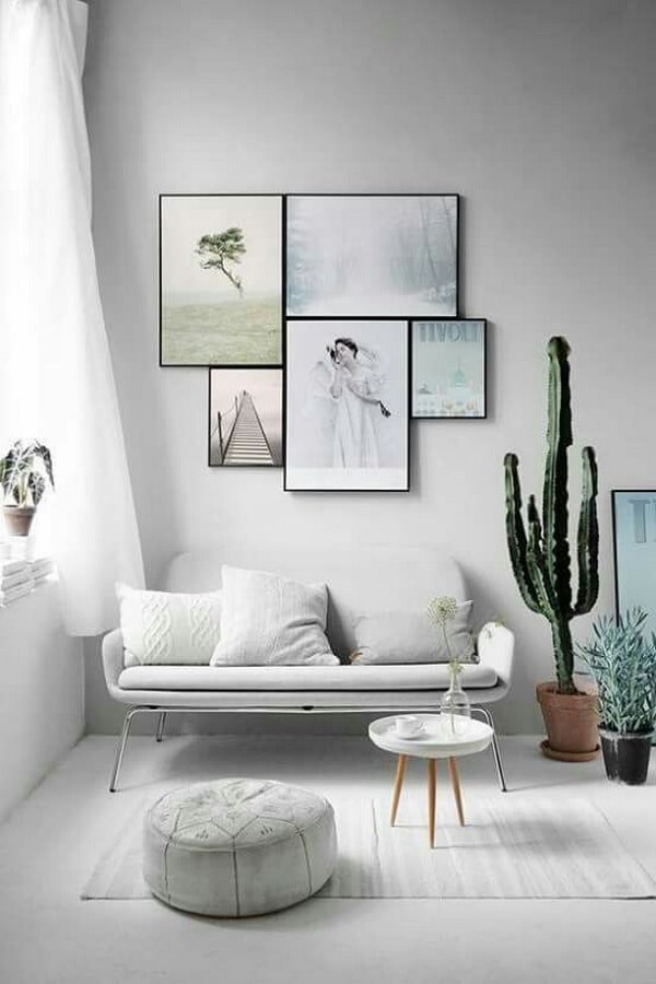 Cactus para decorar la sala