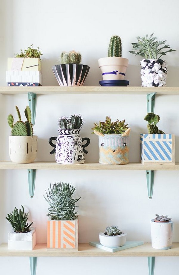 Ideas para decorar interiores con cactus Plantas de 