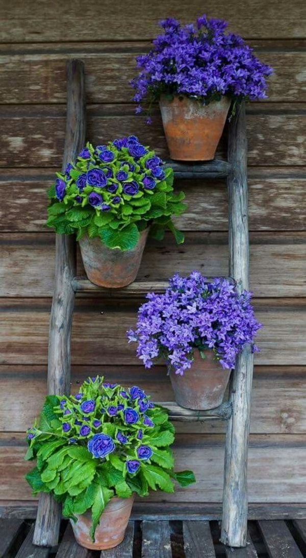 Flores en escaleras de mano