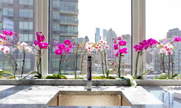 Decorar con orquídeas