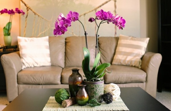 Decorar con orquídeas. Ideas para decorar con orquídeas.