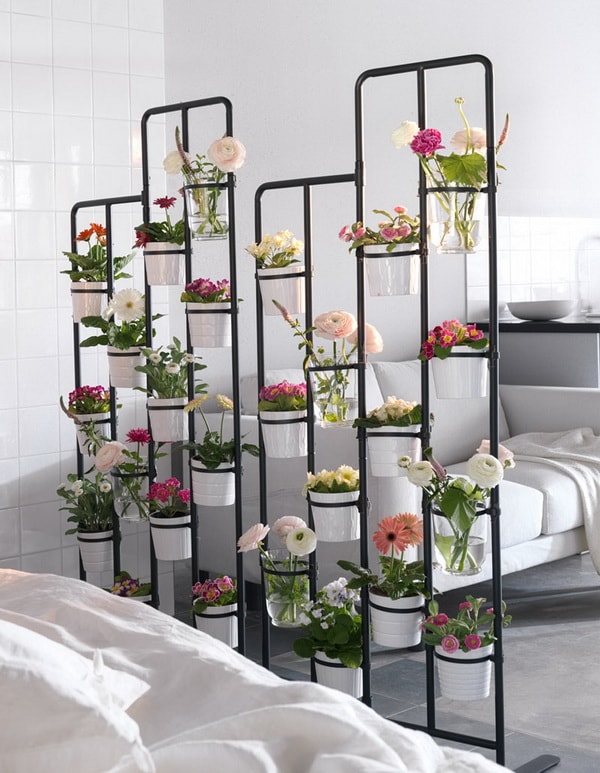 Cómo separar ambientes con plantas