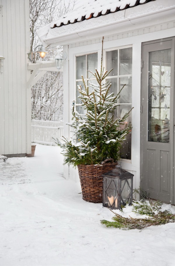 Árbol de navidad de exterior en cesta
