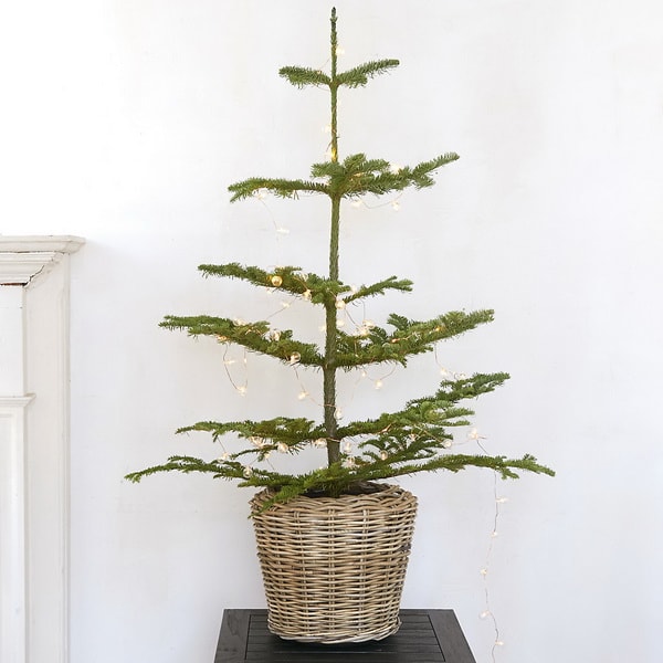 Árbol de Navidad minimalista en una cesta