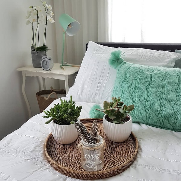 Plantas en la decoración del hogar
