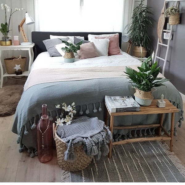 Plantas para decorar interiores