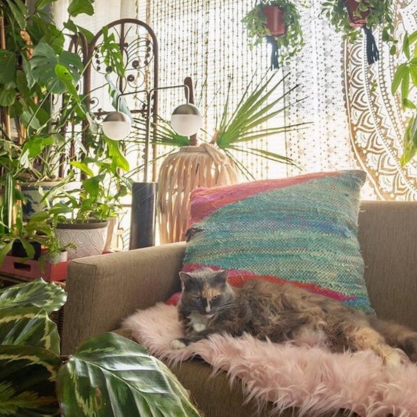 Plantas en la decoración