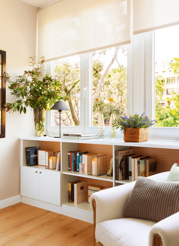 Plantas de interior en estantes
